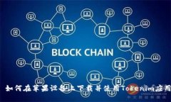  如何在苹果设备上下载并使用Tokenim应用