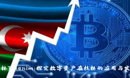 桂林Tokenim：探究数字资产在桂林的应用与发展