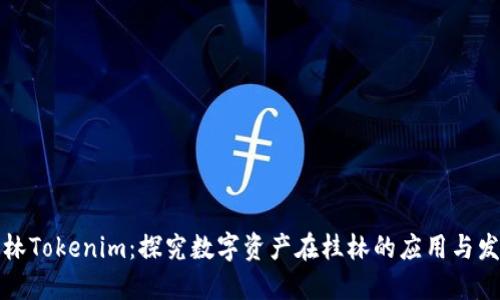 桂林Tokenim：探究数字资产在桂林的应用与发展