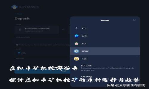 虚拟币矿机挖哪些币

探讨虚拟币矿机挖矿的币种选择与趋势