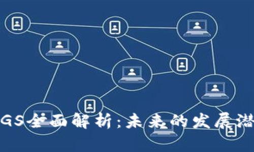  虚拟币KGS全面解析：未来的发展潜力和风险