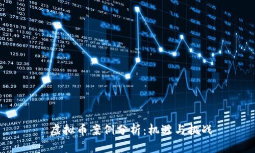  虚拟币案例分析：机遇与挑战