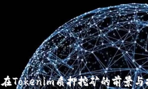 
DPL在Tokenim质押挖矿的前景与挑战