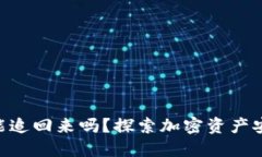 Tokenim被盗能追回来吗？探索加密资产安全与追回