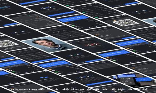 Tokenim平台支持BCH交易及其潜力探讨