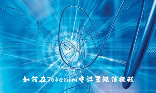 如何在Tokenim中设置短信提醒