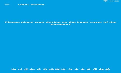 湖州虚拟币市场概述与未来发展趋势