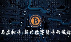 大连宝马虚拟币：新兴数字货币的崛起与挑战