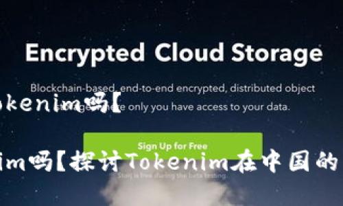 在国内能够使用Tokenim吗？

国内能使用Tokenim吗？探讨Tokenim在中国的可行性与使用现状