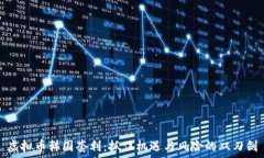   虚拟币韩国套利：抓住机遇与风险的双刃剑