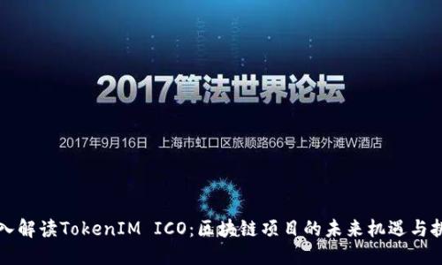 深入解读TokenIM ICO：区块链项目的未来机遇与挑战