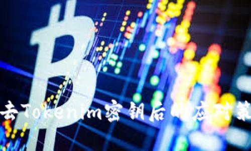 失去Tokenim密钥后的应对策略