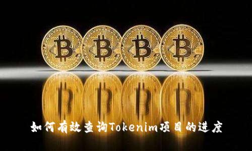 如何有效查询Tokenim项目的进度