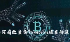 如何有效查询Tokenim项目的进度