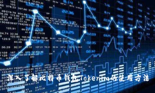 深入了解比特币钱包Tokenim的使用方法