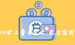 TokenIM旷工费自定义：最佳实践与建议