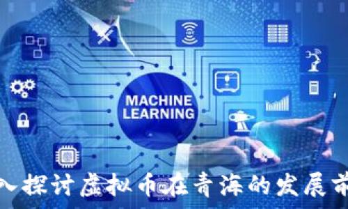   
深入探讨虚拟币在青海的发展前景