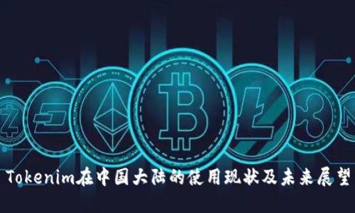 Tokenim在中国大陆的使用现状及未来展望