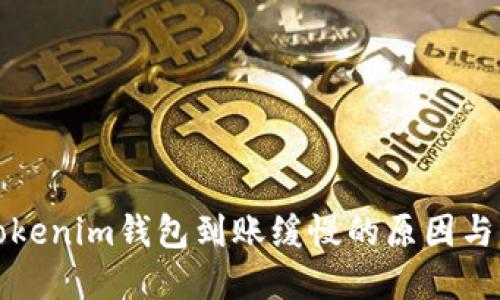 充币到Tokenim钱包到账缓慢的原因与解决方案