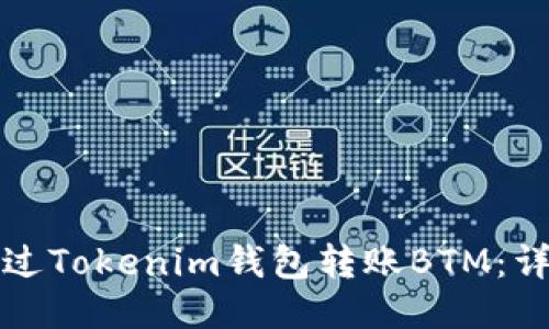 如何通过Tokenim钱包转账BTM:详细指南