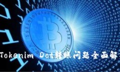  Tokenim Dot转账问题全面解析