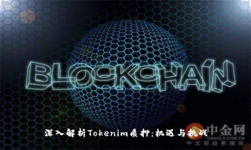 深入解析Tokenim质押：机遇与挑战