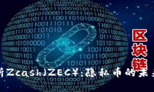 全面解析Zcash（ZEC）：隐私币的未来与挑战