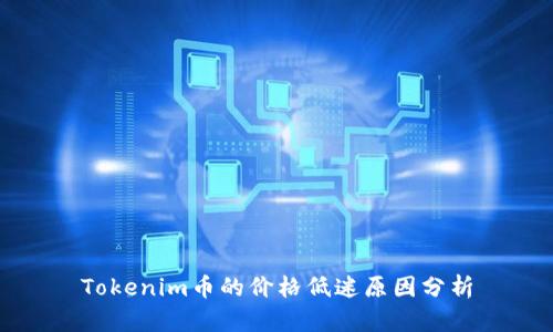 Tokenim币的价格低迷原因分析
