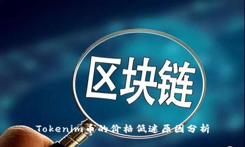 Tokenim币的价格低迷原因分析
