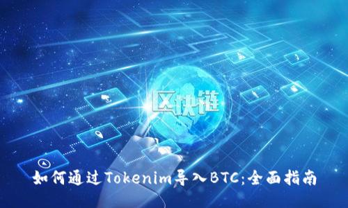 如何通过Tokenim导入BTC：全面指南