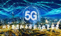 双子星虚拟币分析与投资前景