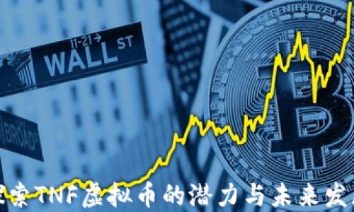 
探索TNF虚拟币的潜力与未来发展