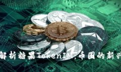 深入解析糖果TokenIM：币圈的新兴力量