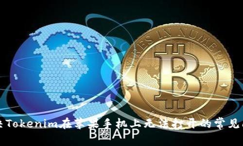 解决Tokenim在苹果手机上无法打开的常见问题