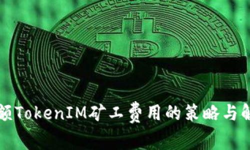 应对高额TokenIM矿工费用的策略与解决方案