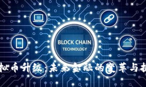 虚拟币升级：未来金融的变革与挑战