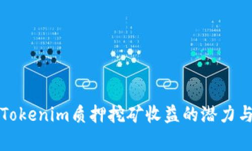 解析Tokenim质押挖矿收益的潜力与策略
