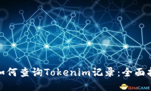 : 如何查询Tokenim记录：全面指南