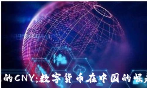   
TokenIM的CNY：数字货币在中国的崛起与影响
