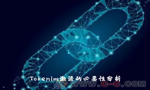 Tokenim激活的必要性分析