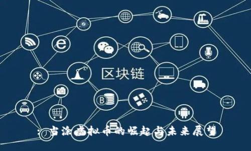 : 当涂虚拟币的崛起与未来展望