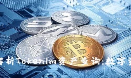 : 深入解析Tokenim资产查询：数字资产管理