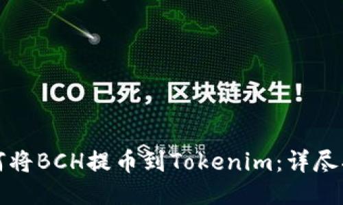 如何将BCH提币到Tokenim：详尽指南