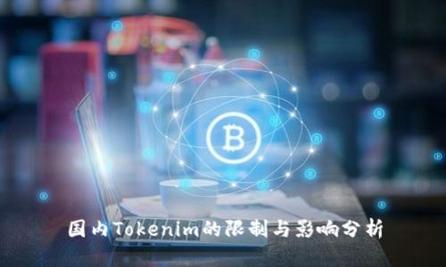 国内Tokenim的限制与影响分析