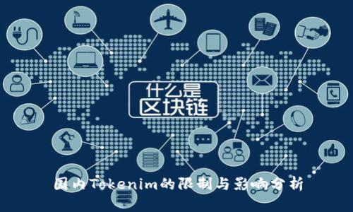国内Tokenim的限制与影响分析