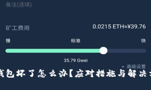 虚拟币钱包坏了怎么办？应对措施与解决方案大全