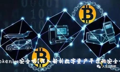 Tokenim安全吗？深入解析数字资产平台的安全性