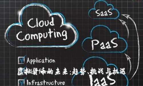 虚拟货币的未来：趋势、挑战与机遇