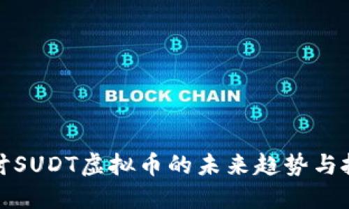 深入探讨SUDT虚拟币的未来趋势与投资机会