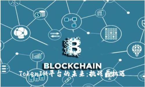 TokenIM平台的未来：挑战与机遇